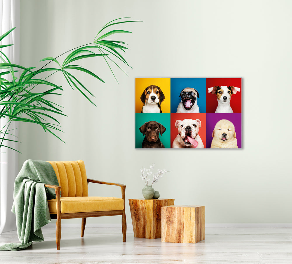 Picture &amp; Frame Funny Dogs