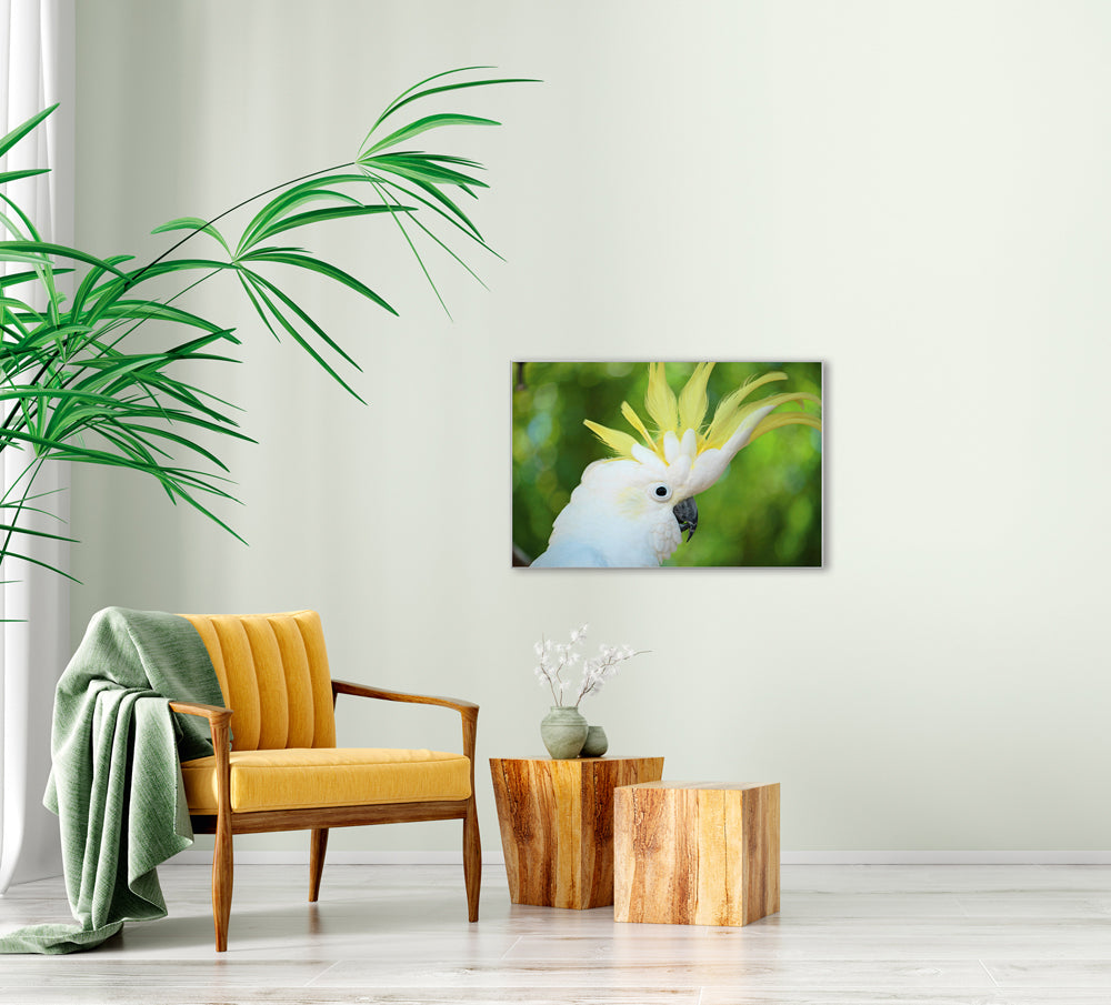 Picture &amp; Frame Cockatoo