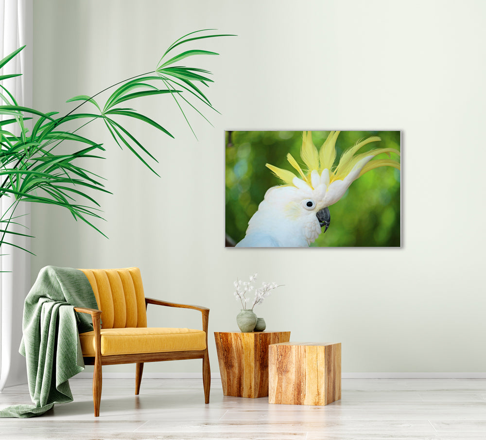 Picture &amp; Frame Cockatoo