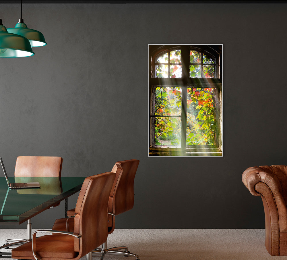 Picture &amp; Frame Window with Leaves