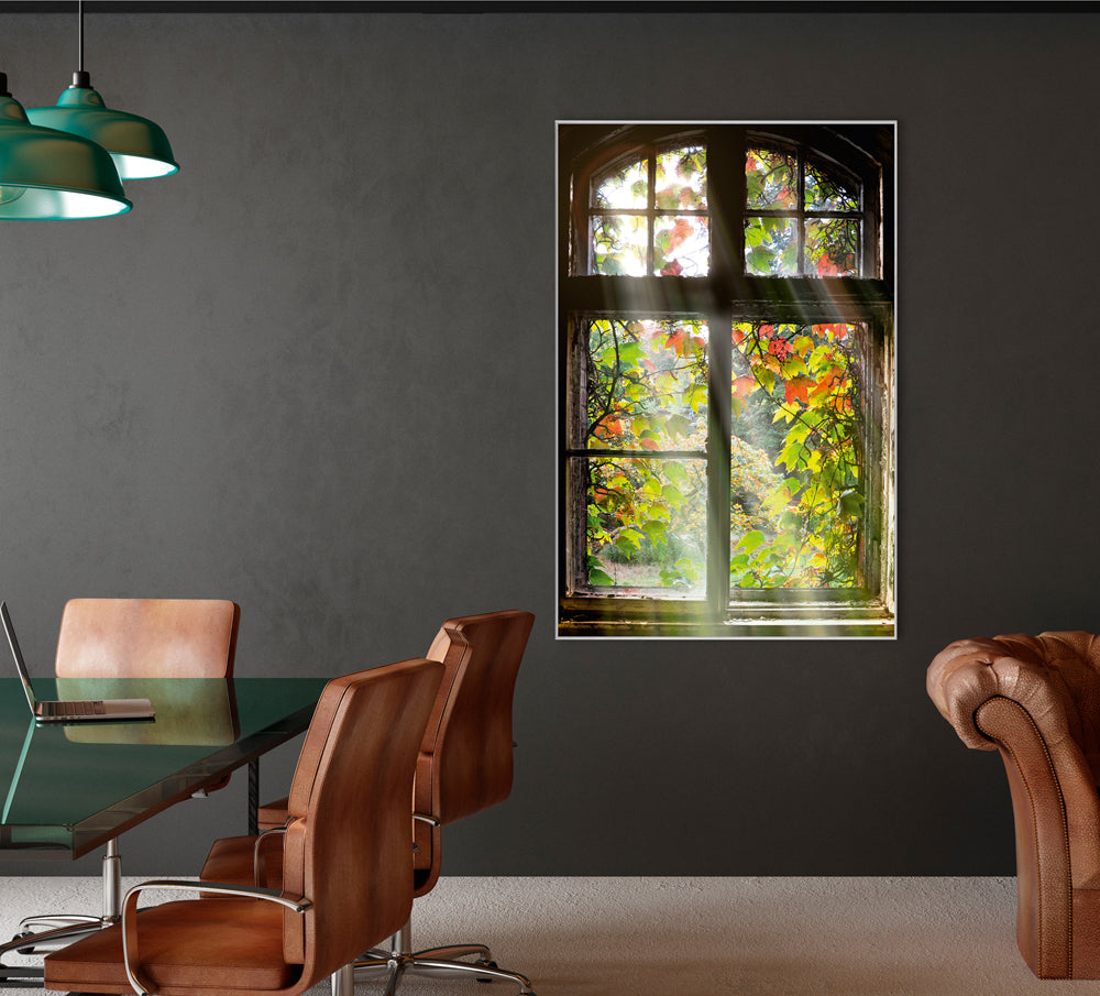 Picture &amp; Frame Window with Leaves
