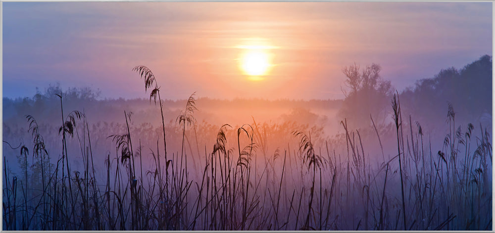 Picture &amp; Frame Sunrise in the Mist