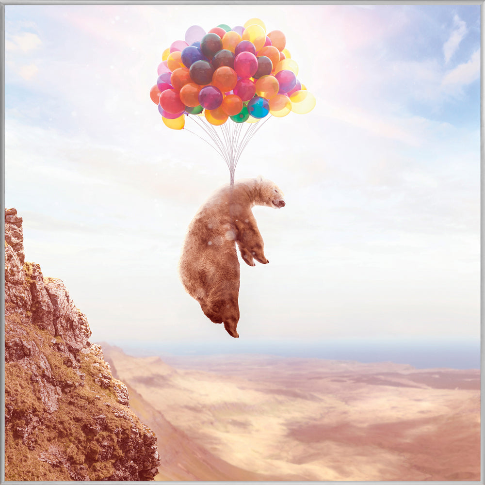 Picture &amp; Frame Flying Bear on Balloons