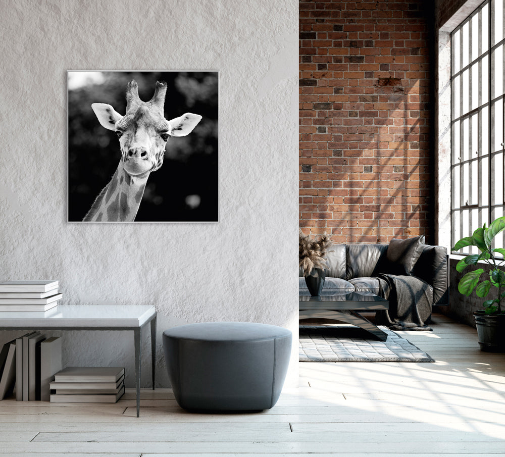 Picture &amp; Frame Giraffe