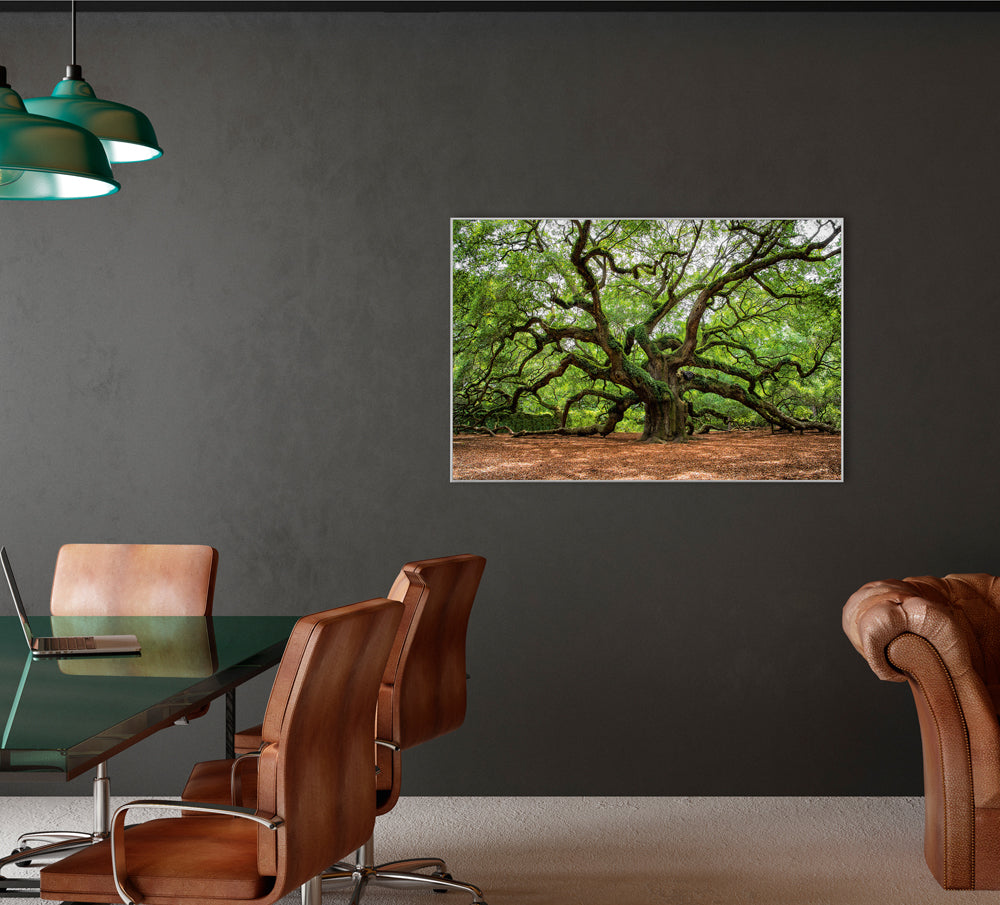 Image et cadre Arbre ramifié