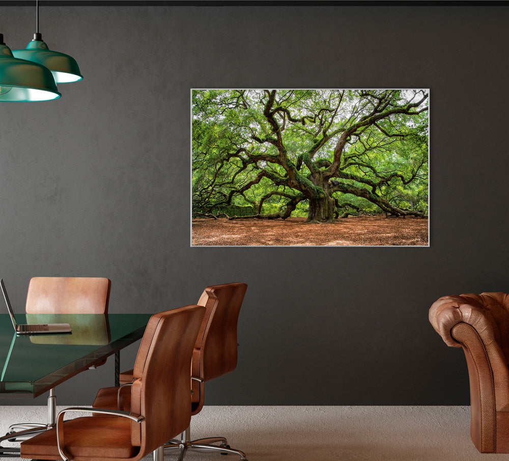 Image et cadre Arbre ramifié