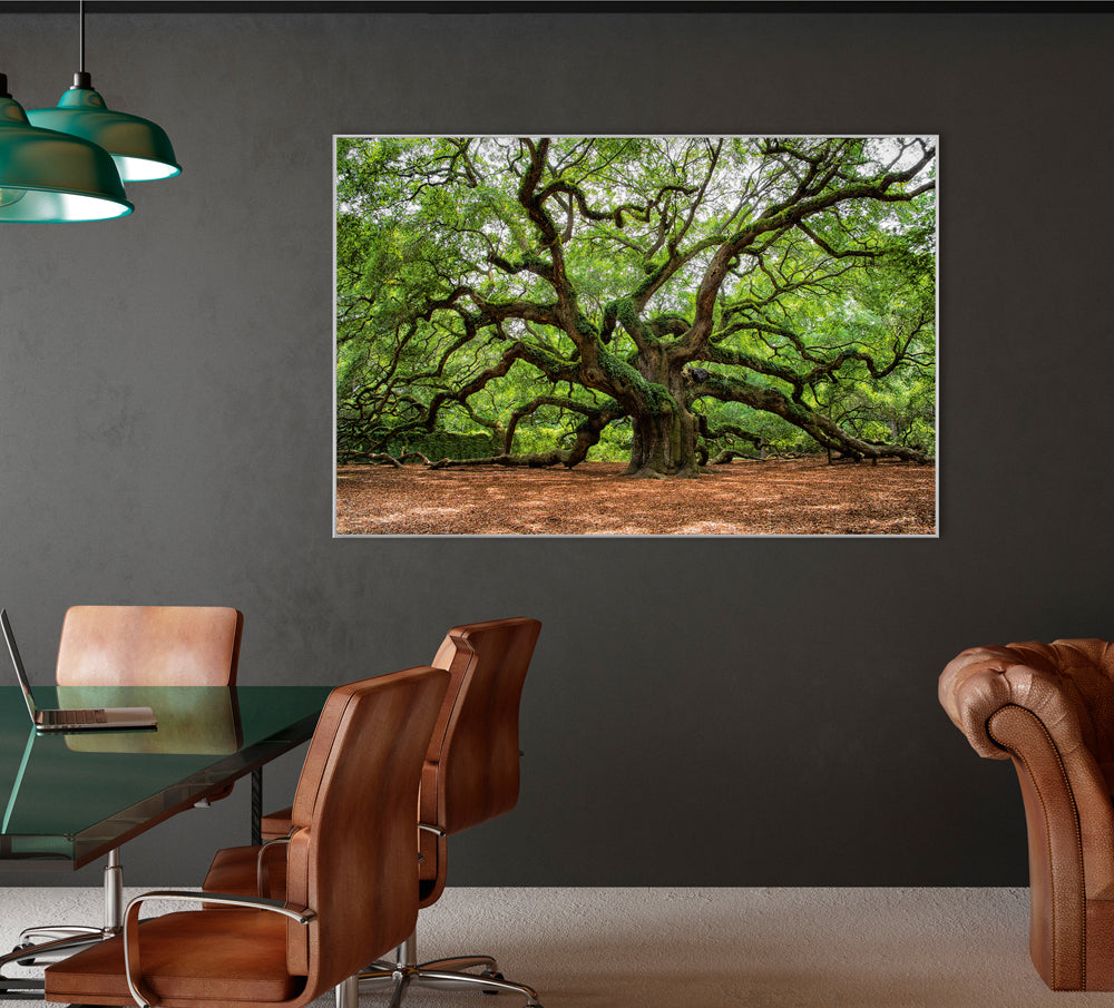 Image et cadre Arbre ramifié
