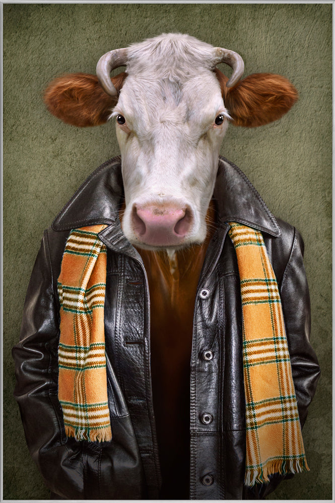 Picture &amp; Frame Cow with Leather Jacket