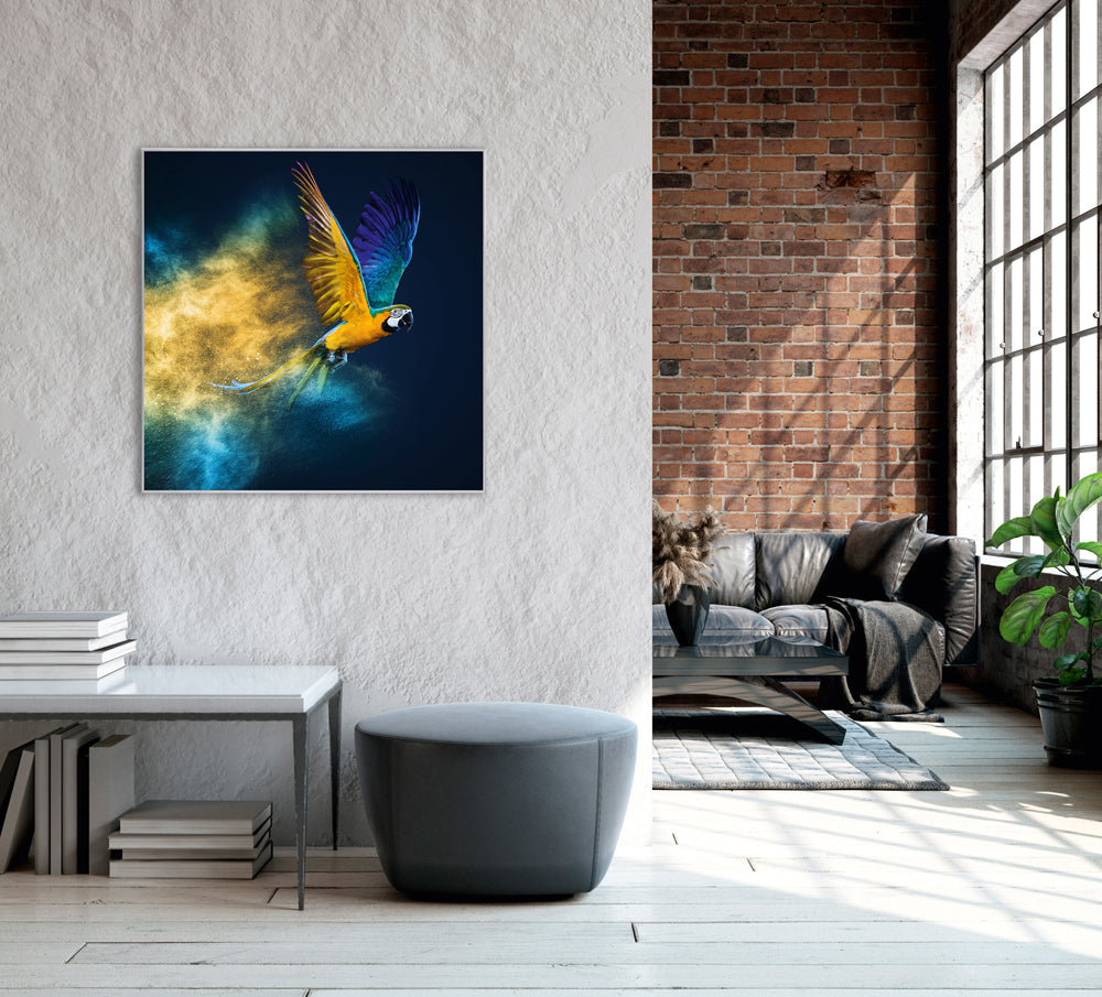 Picture &amp; Frame Flying Parrot