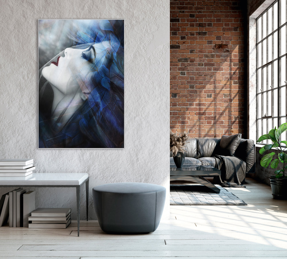 Picture &amp; Frame Beauty with Gauze Cloth