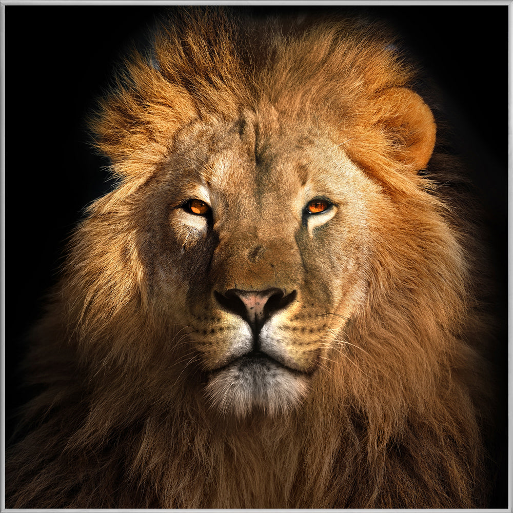 Picture &amp; Frame The Lion King