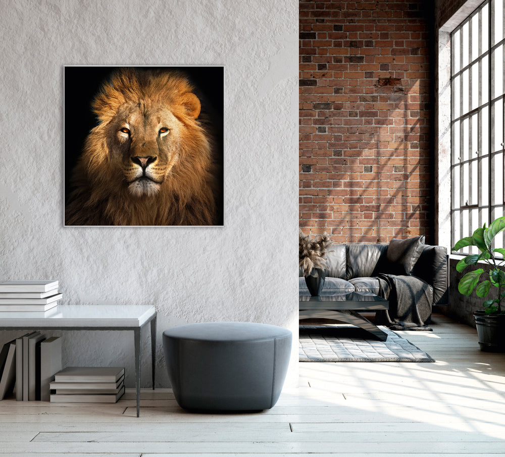 Picture &amp; Frame The Lion King