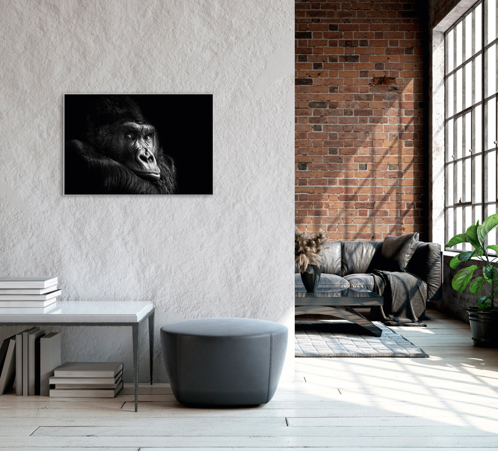 Picture &amp; Frame Gorilla