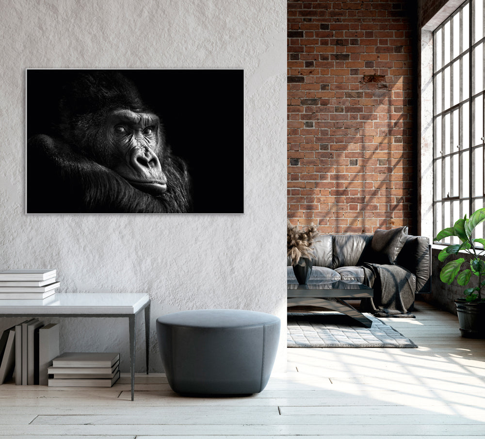 Picture &amp; Frame Gorilla