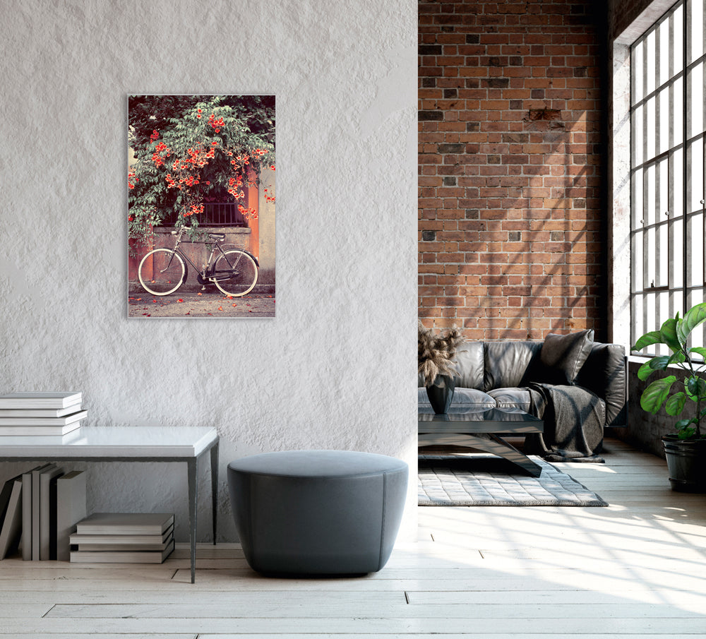 Picture &amp; Frame Bicycle under red flowers