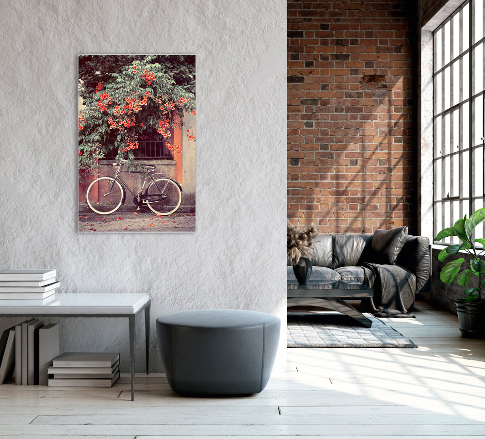 Picture &amp; Frame Bicycle under red flowers