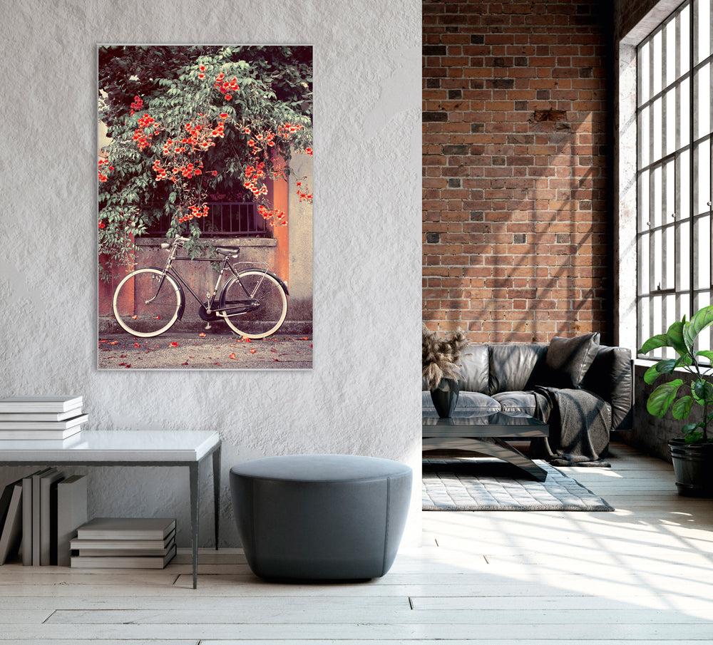Picture &amp; Frame Bicycle under red flowers