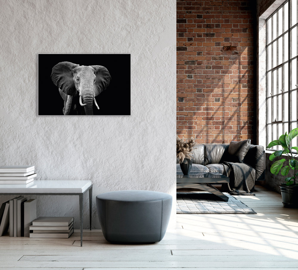 Picture &amp; Frame Majestic Elephant