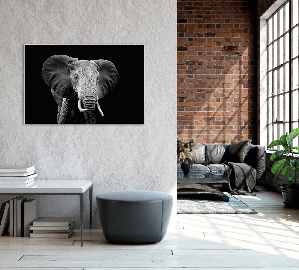 Picture &amp; Frame Majestic Elephant