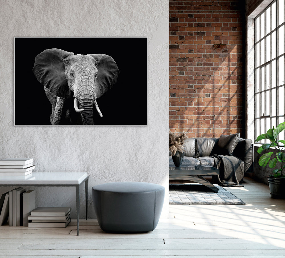 Picture &amp; Frame Majestic Elephant