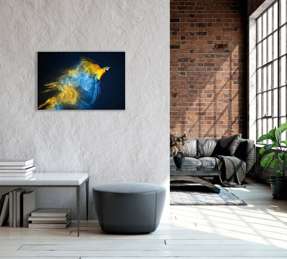Picture &amp; frame parrot in blue and yellow