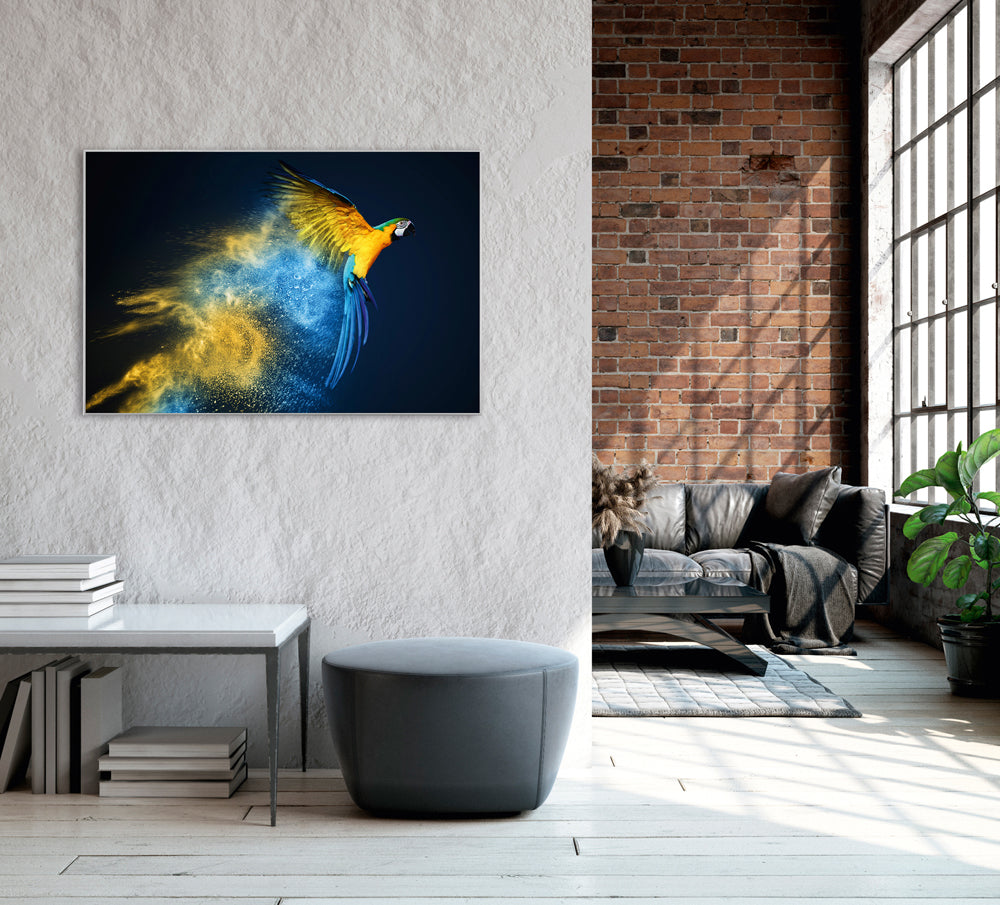 Picture &amp; frame parrot in blue and yellow