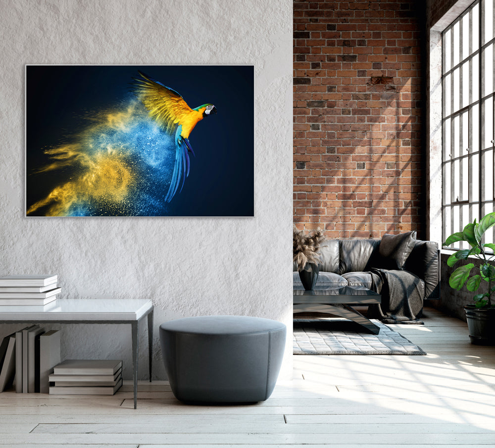 Picture &amp; frame parrot in blue and yellow