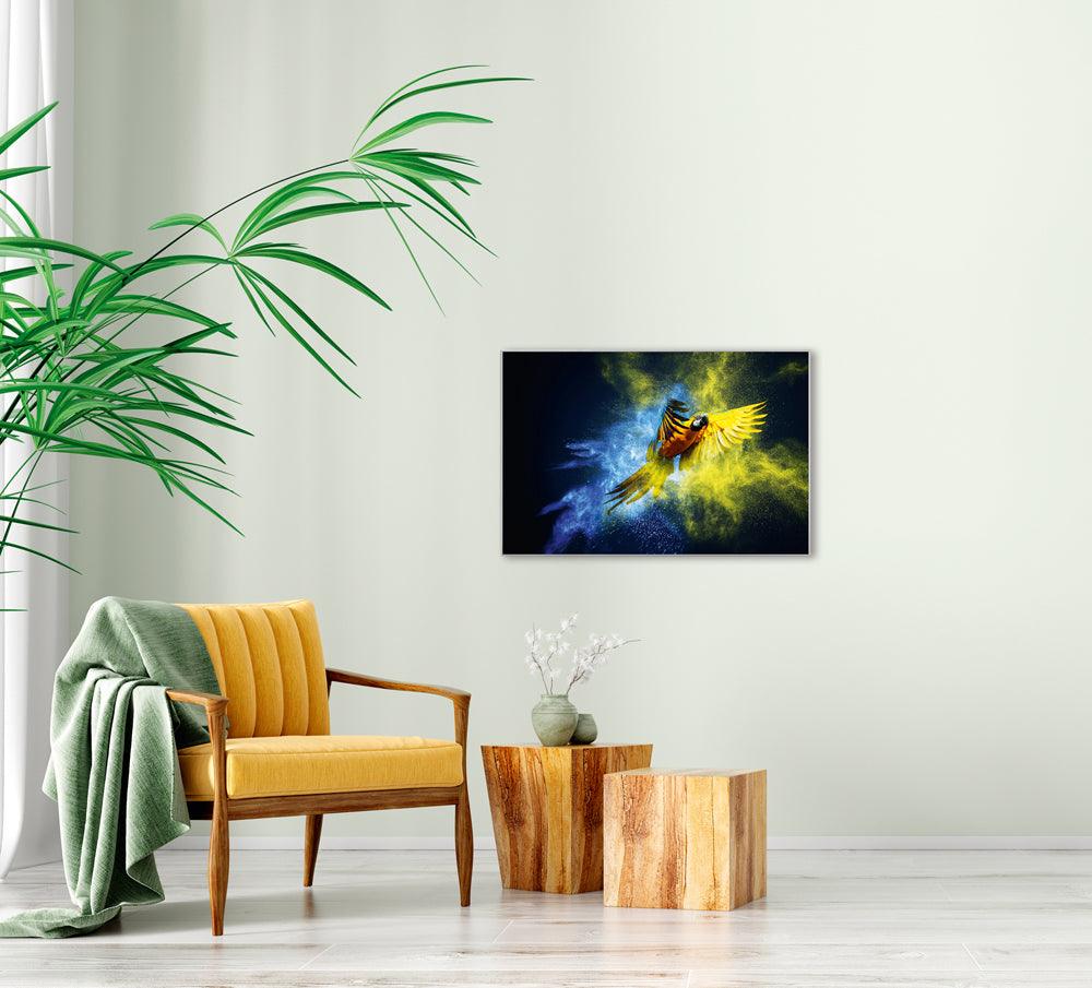 Picture &amp; frame parrot in blue and yellow