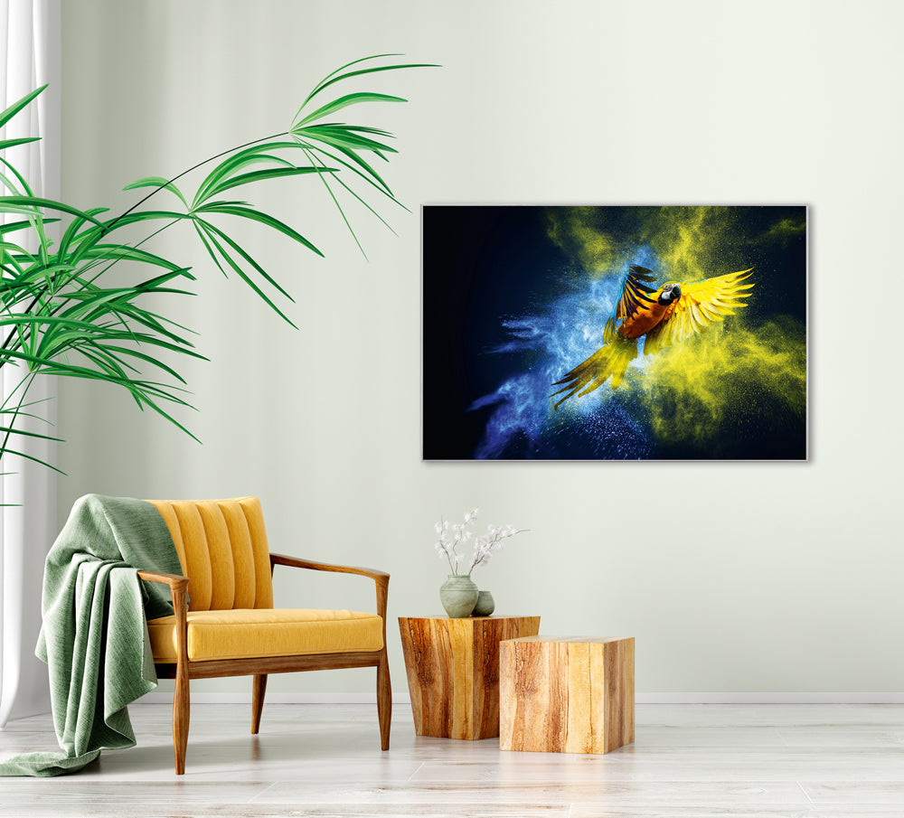 Picture &amp; frame parrot in blue and yellow
