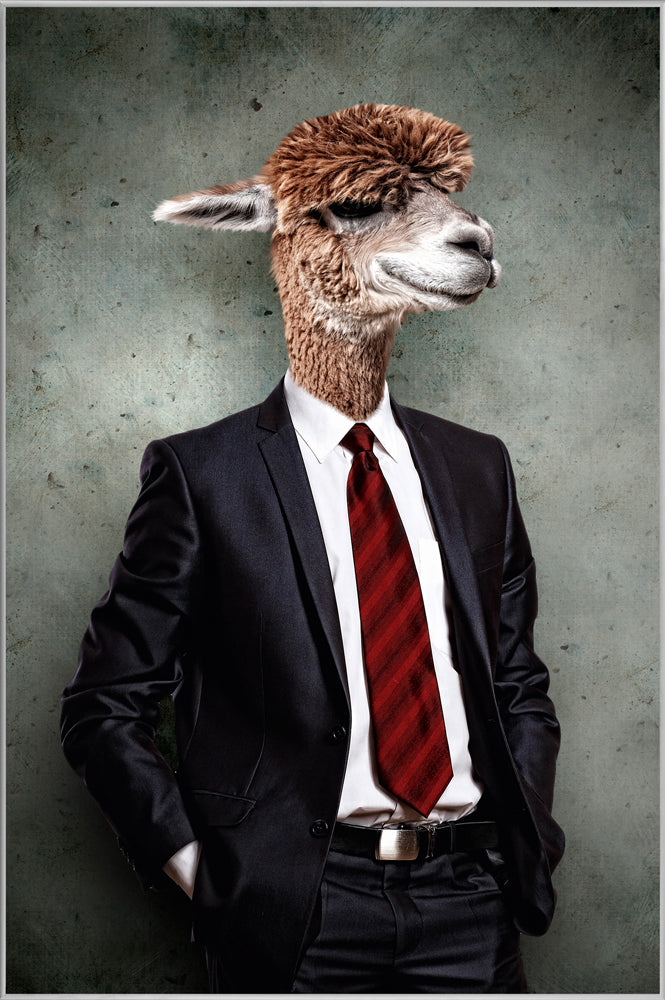Picture &amp; Frame Lama in Suit