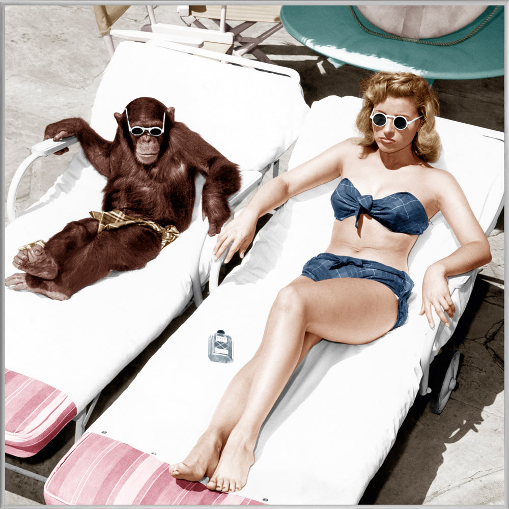 Picture &amp; Frame Bathing Beauty with Chimpanzee