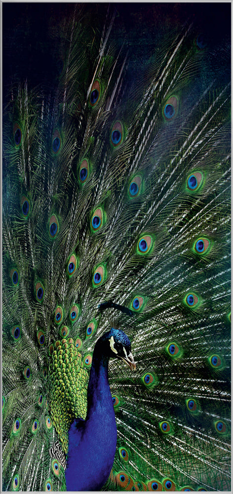 Picture &amp; Frame Majestic Peacock