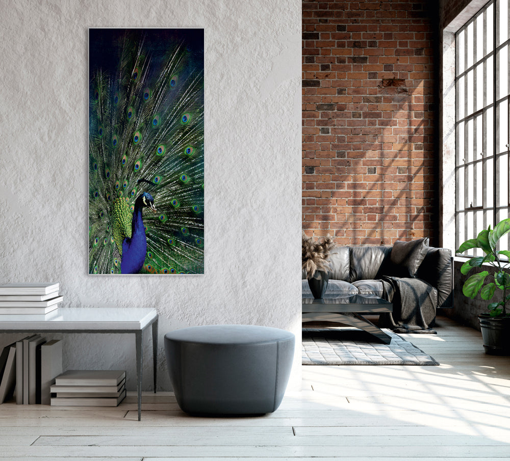 Picture &amp; Frame Majestic Peacock