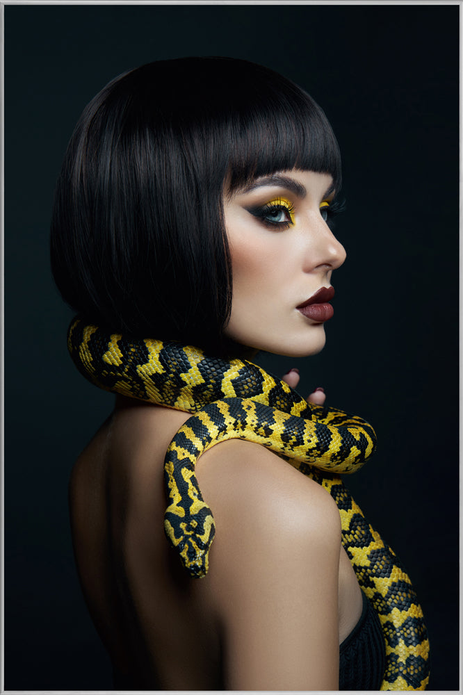 Picture &amp; Frame Woman with Python