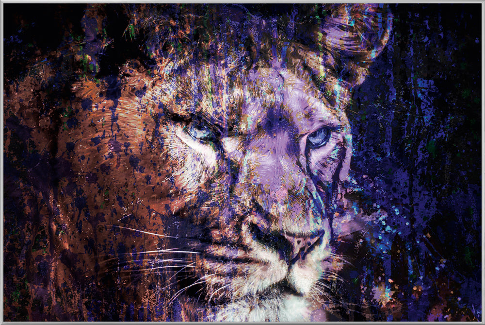 Picture &amp; Frame Lion in Blue