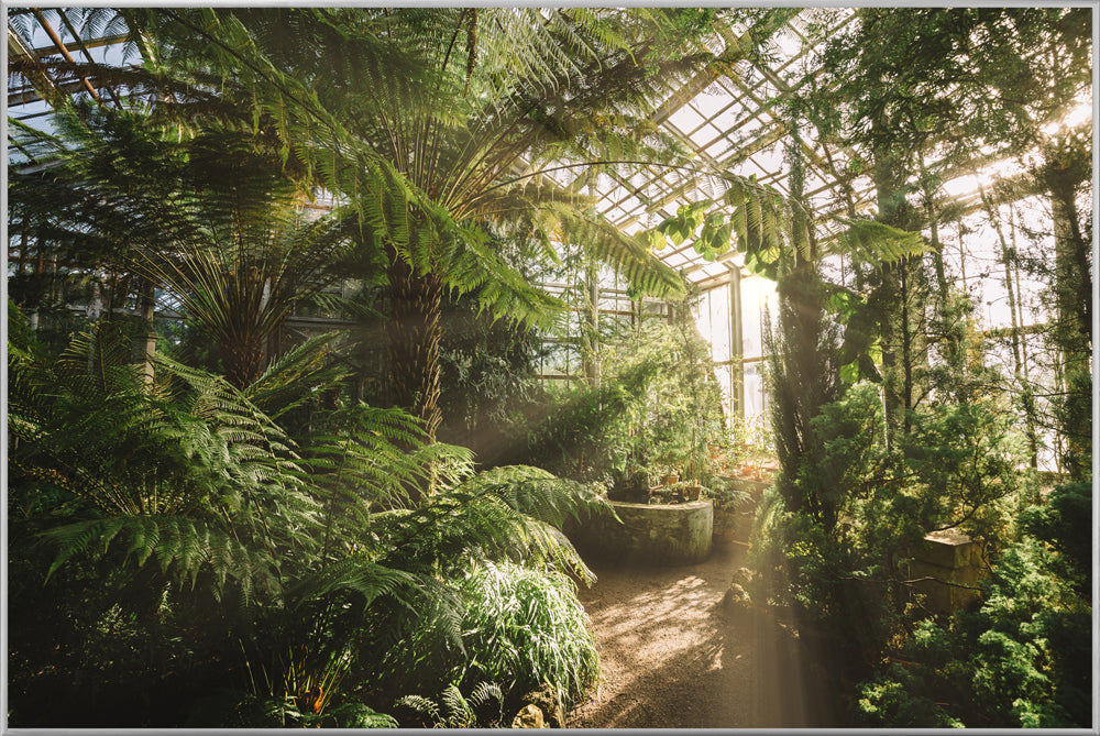 Picture &amp; Frame Greenhouse with light reflections