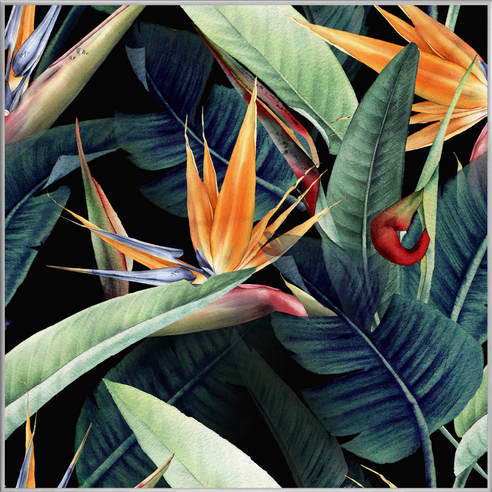 Picture &amp; Frame Colorful Strelitzias