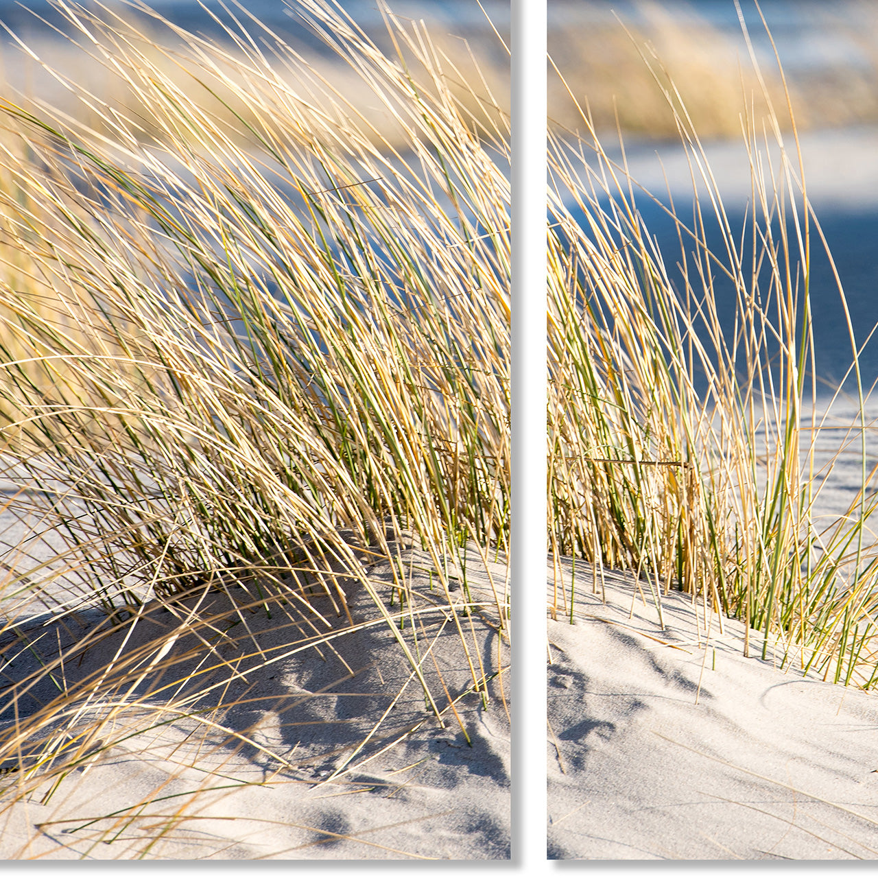 Picture &amp; Frame Time Out on the Beach