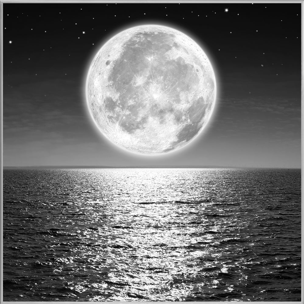 Picture &amp; Frame Full Moon