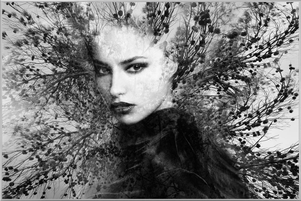 Picture &amp; Frame Tree Fairy