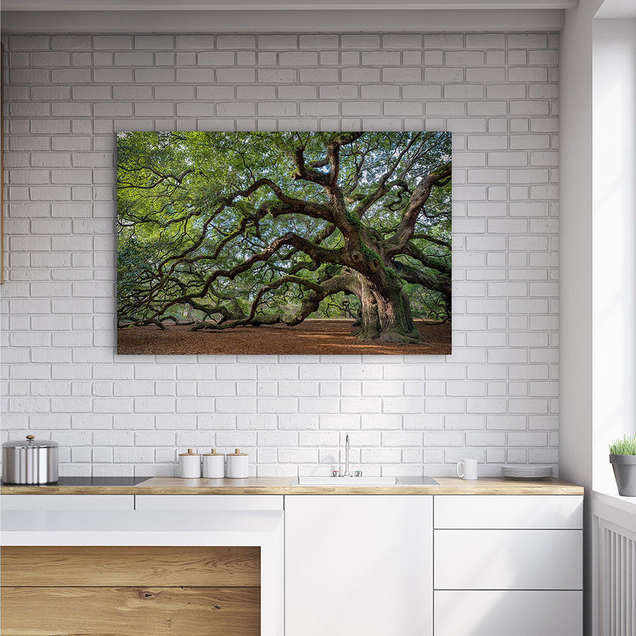 Acrylglasbild Faszination Baum