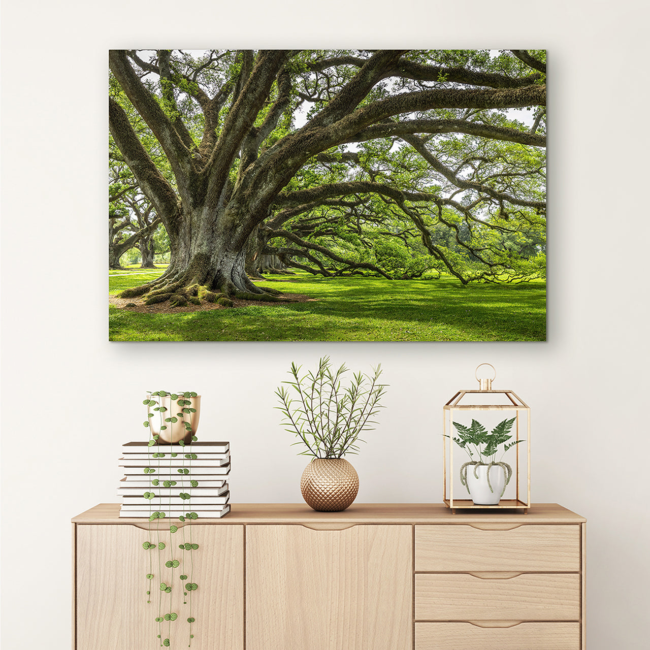 Acrylglasbild Baum der Ewigkeit