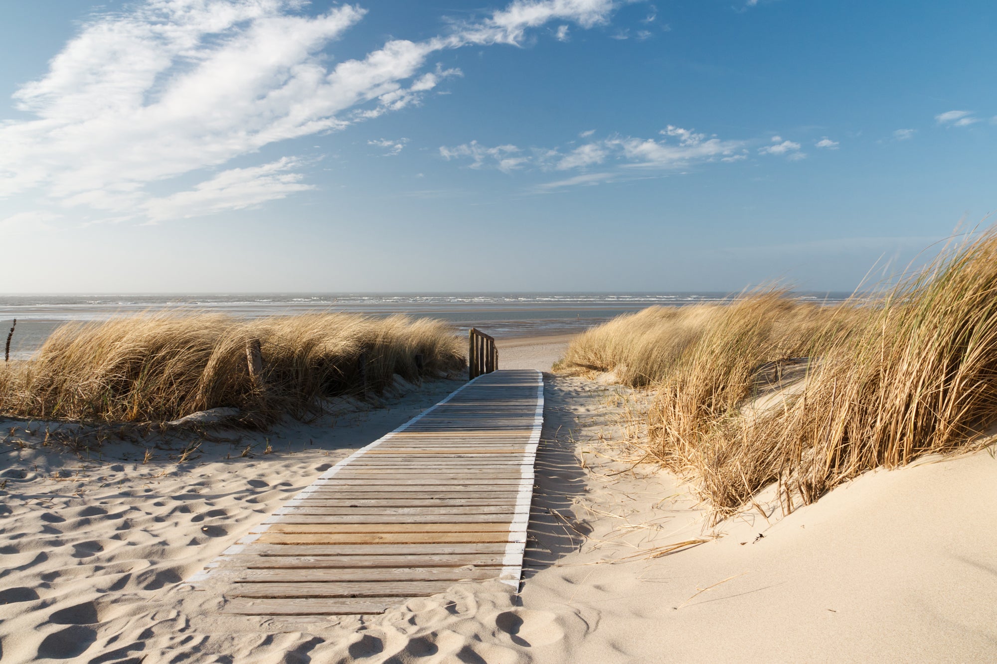Canvas Print Holzweg zum Meer 1