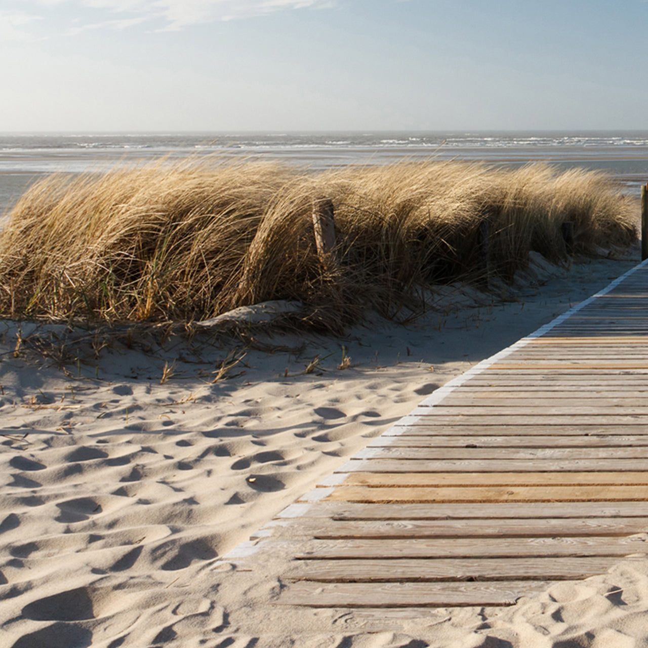 Canvas Print Holzweg zum Meer 1