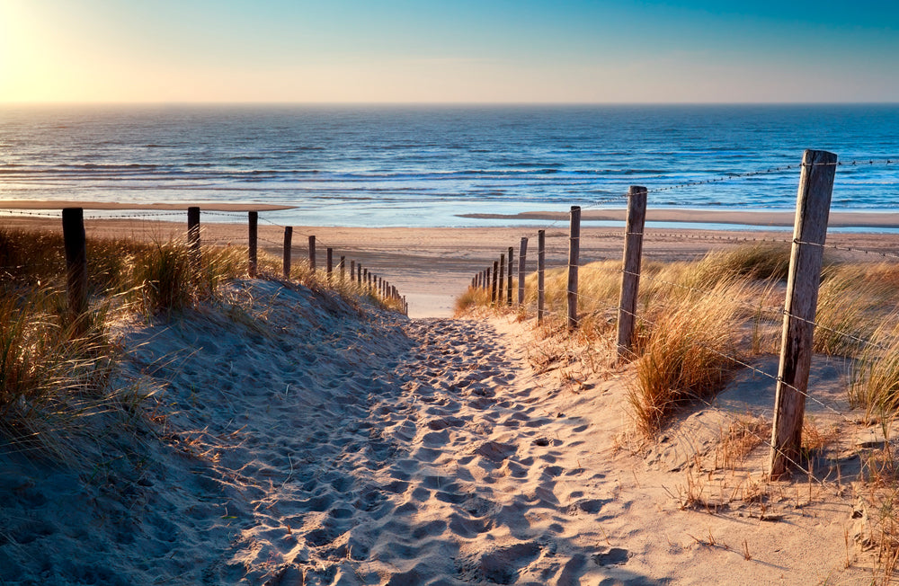 Canvas Print Sandweg zum Strand