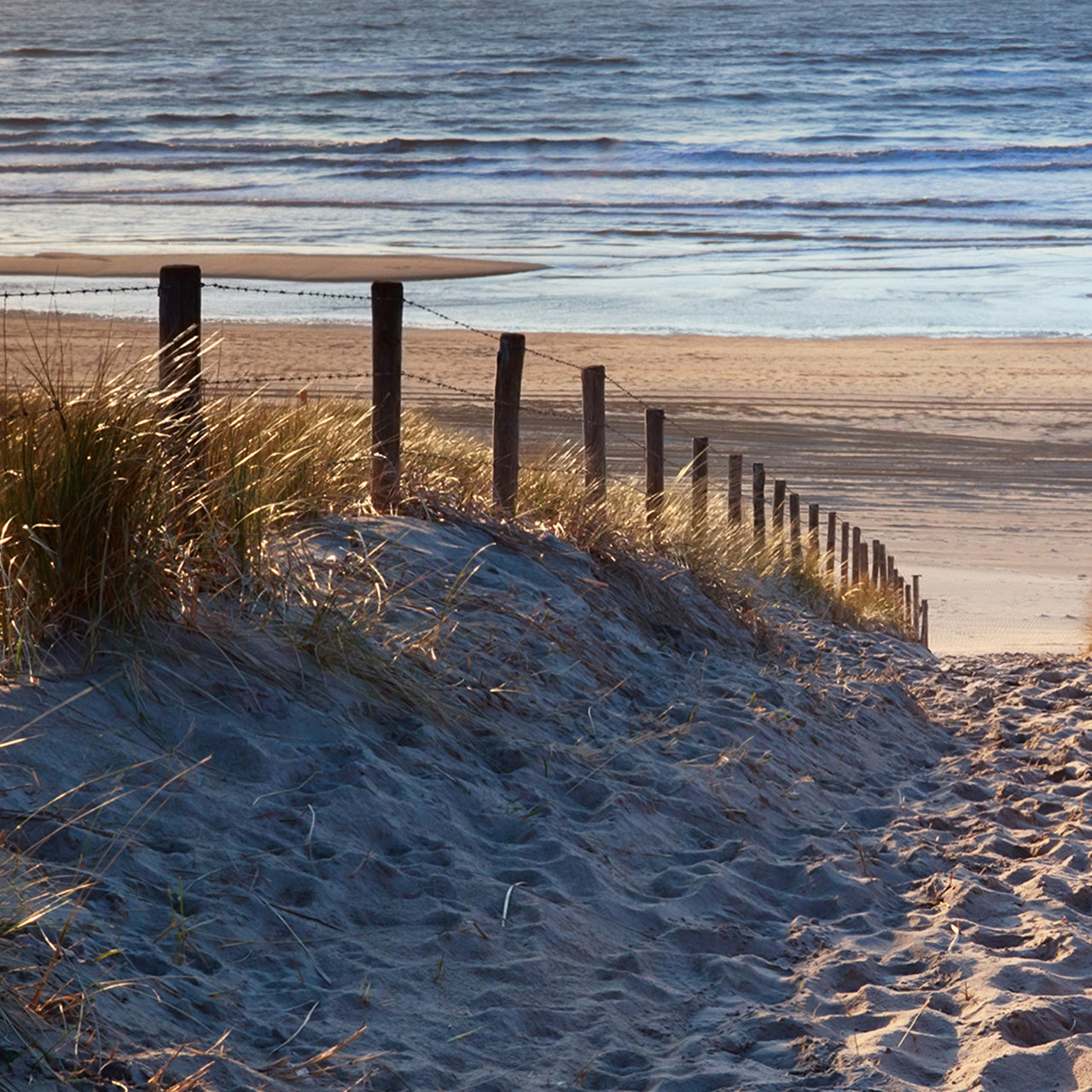 Canvas Print Sandweg zum Meer