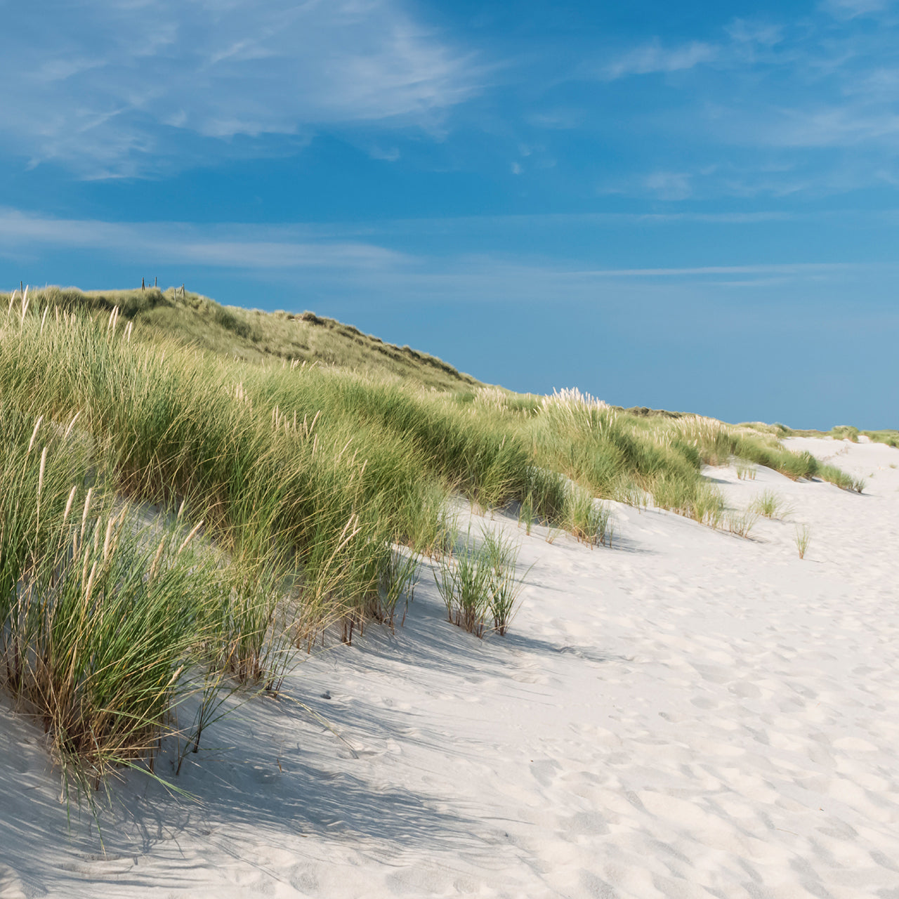 Canvas Print Leuchtturm am Strand