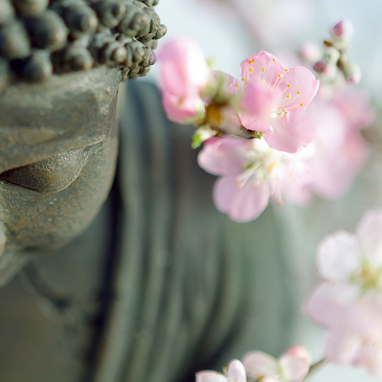 Canvas Print Buddha
