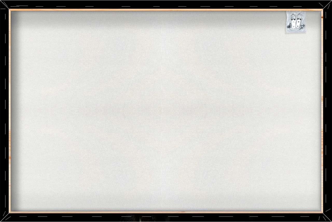 Impression sur toile Panthère noire