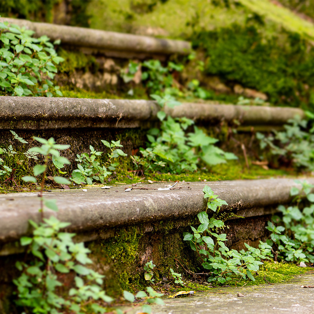 Canvas Print Upstairs